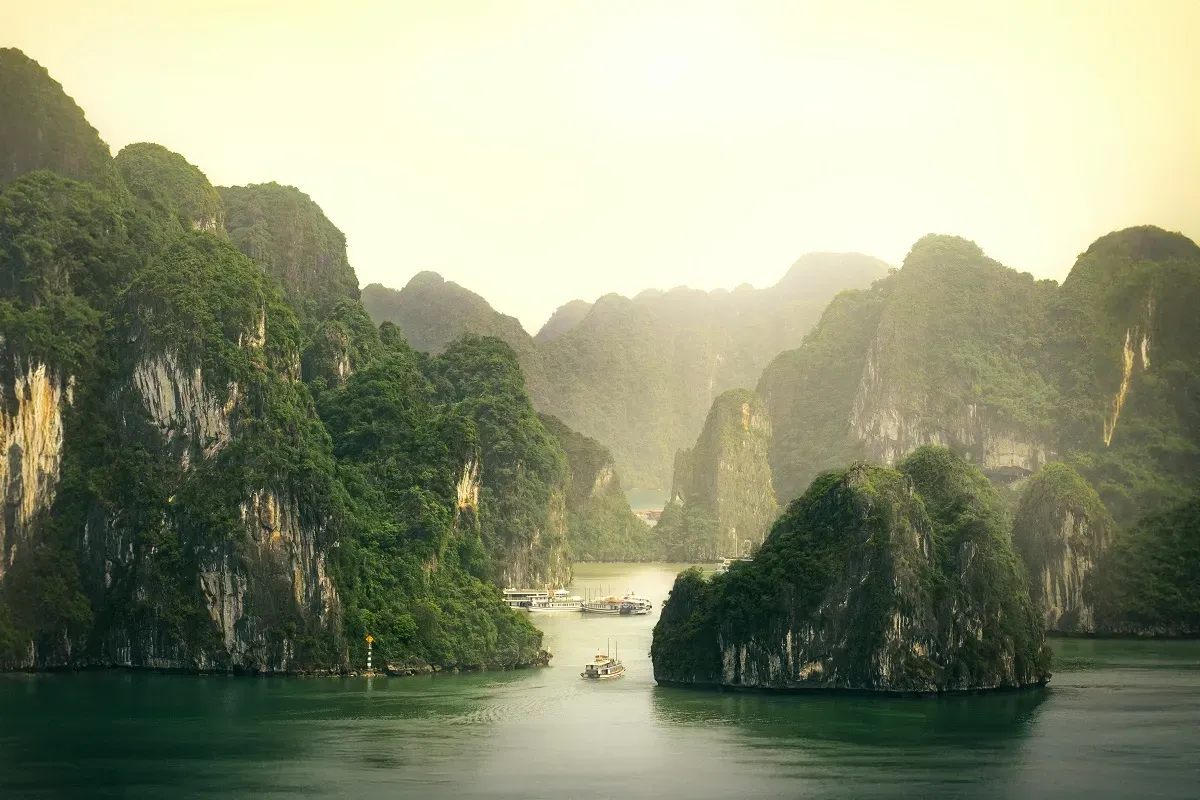 Contact Sensations Vietnam