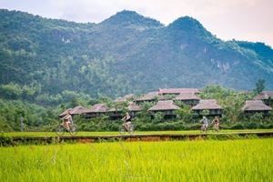 Art de vivre au Tonkin : de Đường Lâm à la vallée de Mai Châu — 3 jours