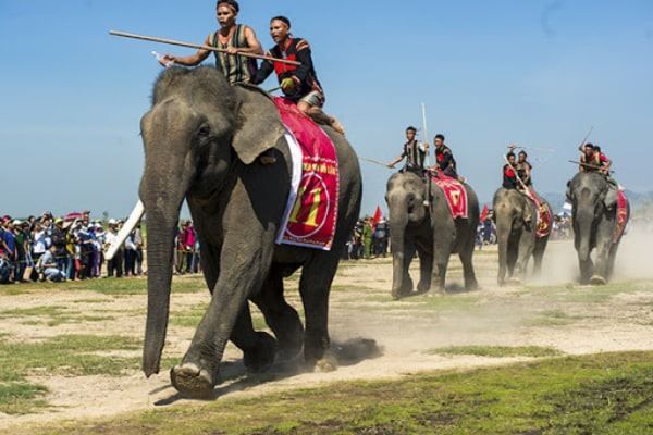 Chutes de Dray Sap et Sérénité du Lac Lắk — 1 jour