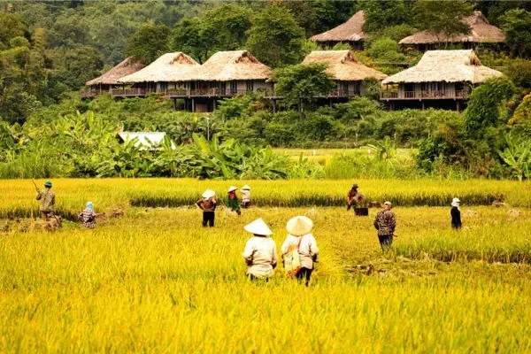 Échappée au Tonkin en 10 jours : Mai Chau, Pu Luong et Baie de Lan Ha