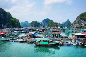 Croisière privatisée dans la baie de Lan Hạ — 2 jours