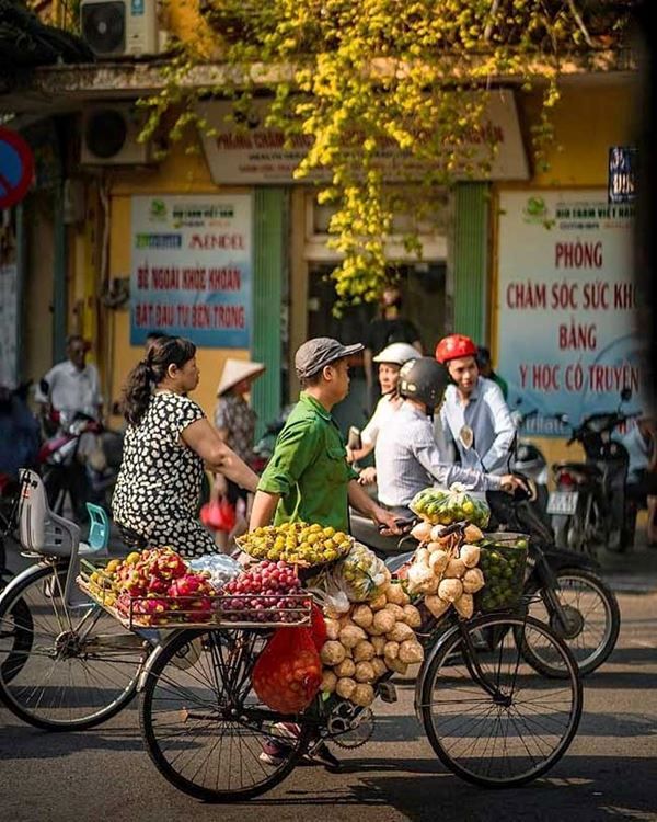 Du Nord Vietnam aux Temples d'Angkor : Merveilles et Cités Impériales — 12 jours