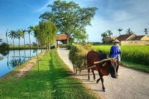 Échappée patrimoniale à Đường Lâm & pagodes de l'Ouest — 1 jour