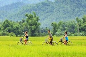 Échappée verdoyante entre Mai Châu et Pù Luông — 3 jours