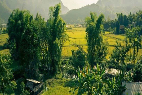 Échappée verdoyante entre Mai Châu et Pù Luông — 3 jours