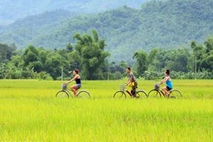 Échappée verdoyante entre Mai Châu et Pù Luông — 3 jours