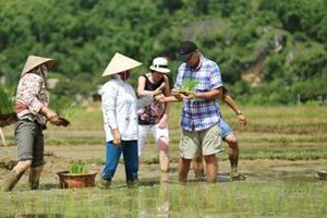 Échappée verdoyante entre Mai Châu et Pù Luông — 3 jours