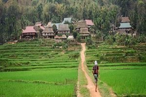 Échappée verdoyante entre Mai Châu et Pù Luông — 3 jours