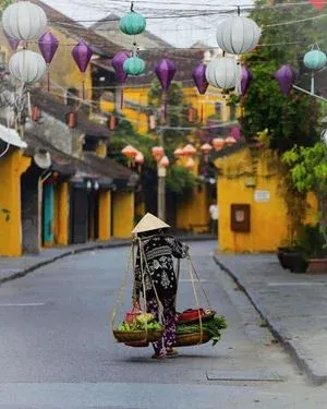 L'Essentiel du Vietnam du Nord au Sud