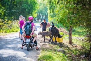 Flânerie à Hội An & immersion dans les campagnes maraîchères — 1 jour
