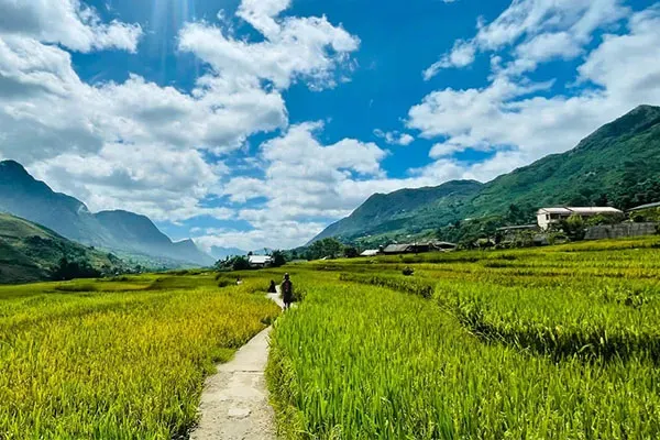 Grand Tour du Vietnam en 16 jours : De Sapa au Delta du Mékong