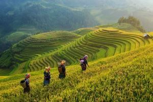 Grande traversée de Sa Pa à Hà Giang — 5 jours