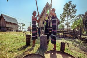 Des Hauts Plateaux de Buôn Ma Thuột à Đà Lạt — 2 jours