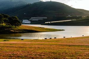 Des Hauts Plateaux de Buôn Ma Thuột à Đà Lạt — 2 jours