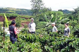 Des Hauts Plateaux de Buôn Ma Thuột à Đà Lạt — 2 jours