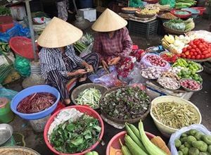 Héritage de l'UNESCO : Merveilles du Vietnam