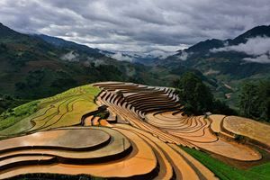 Immersion authentique au Vietnam en famille