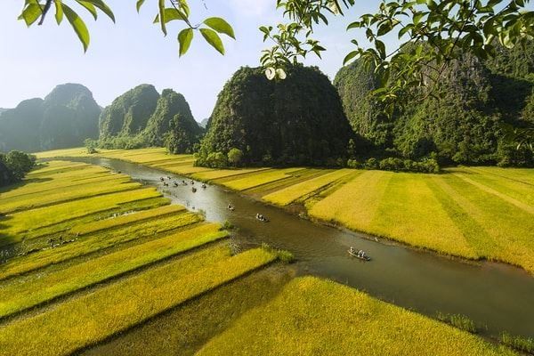 Immersion en baie d'Halong terrestre à Ninh Bình — 2 jours