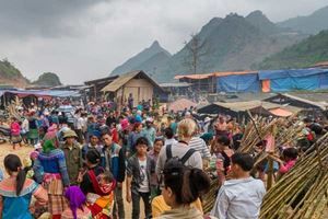 Immersion montagnarde & marchés colorés de Bắc Hà — 4 jours