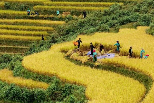 Marchés montagnards de Bắc Hà & vallées de Sa Pa — 4 jours
