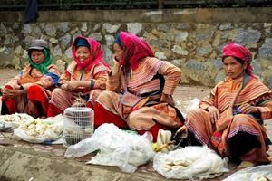 Marchés montagnards de Bắc Hà & vallées de Sa Pa — 4 jours