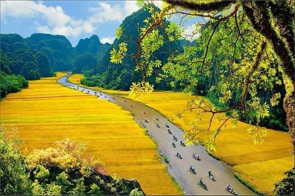 Merveilles de Ninh Bình & baie d'Halong terrestre — 1 jour