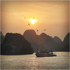 Merveilles du Vietnam : 15 Jours d'Évasion Authentique