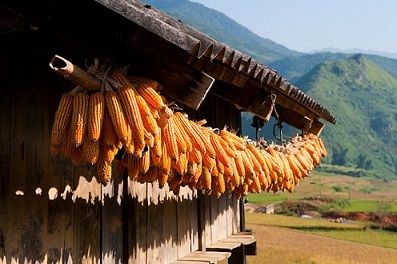 Du pays Hmong aux pains de sucre d’Halong — 8 jours