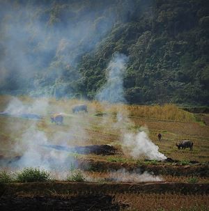 Du pays Hmong aux pains de sucre d’Halong — 8 jours