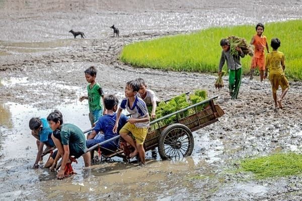 Du plateau de Đồng Văn au delta du Mékong — 21 jours