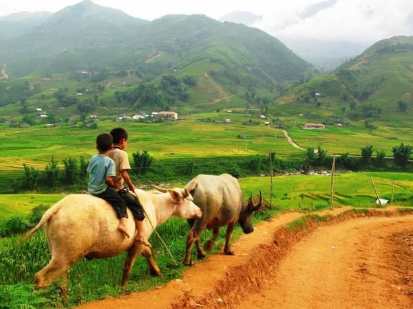 Randonnées et immersion dans les villages de Sa Pa — 3 jours