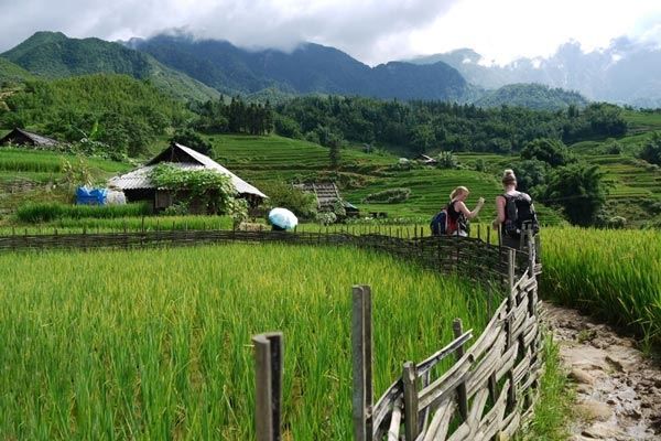 Randonnées et immersion dans les villages de Sa Pa — 3 jours