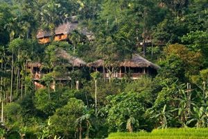 Retraite nature et sérénité à Pù Luông — 3 jours