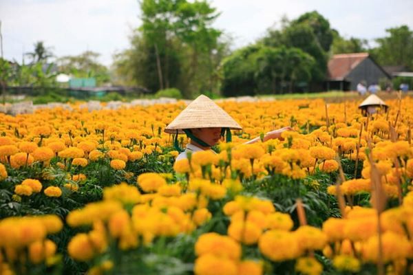 Saïgon et les chemins d’eau du Mékong — 4 jours