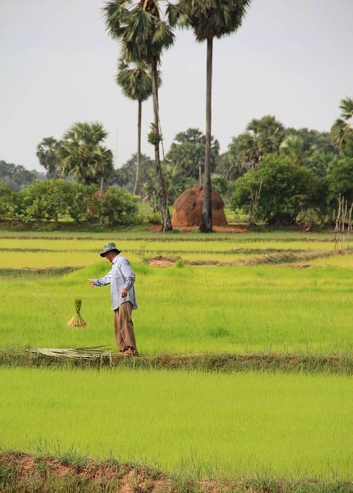 De Saïgon aux pierres d’Angkor — 10 jours