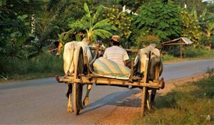 De Saïgon aux pierres d’Angkor — 10 jours