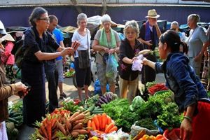 Saveurs de Trà Quế et Histoire Vivante de Hội An — 1 jour