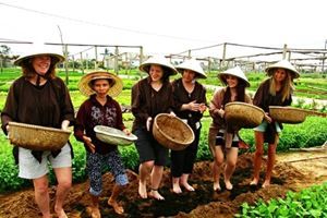 Saveurs de Trà Quế et Histoire Vivante de Hội An — 1 jour