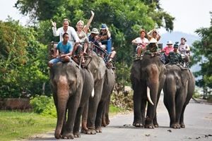 Traversée des Hauts Plateaux : de Buôn Ma Thuột à Đà Lạt — 3 jours