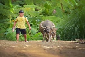 Trek authentique dans la réserve de Pù Luông — 3 jours
