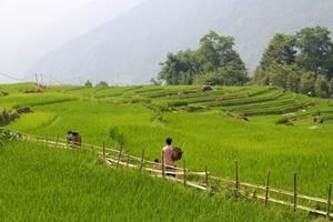 Trek d'altitude & villages secrets de Bắc Hà — 4 jours