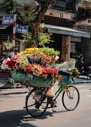 Trésors du Vietnam : l'intégrale en famille