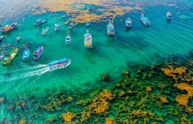 Le Vietnam en adresses choisies, de Hanoï au Mékong — 15 jours