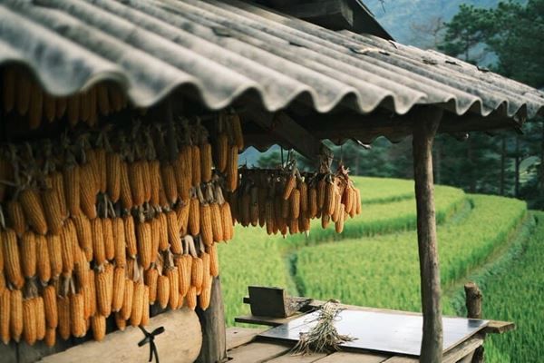 Le Vietnam en adresses choisies, de Hanoï au Mékong — 15 jours
