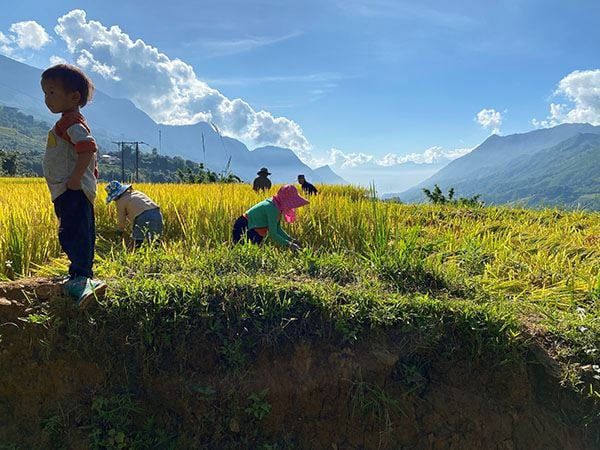 Le grand tour du Vietnam en famille : 18 jours de découvertes