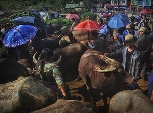 Le grand tour du Vietnam en famille : 18 jours de découvertes